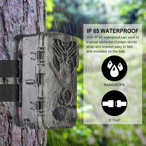DIGITNOW Digital Trail Camera 20MP 1080P Waterproof Game Hunting Scouting Camera for Wildlife Monitoring with 44pcs IR LED