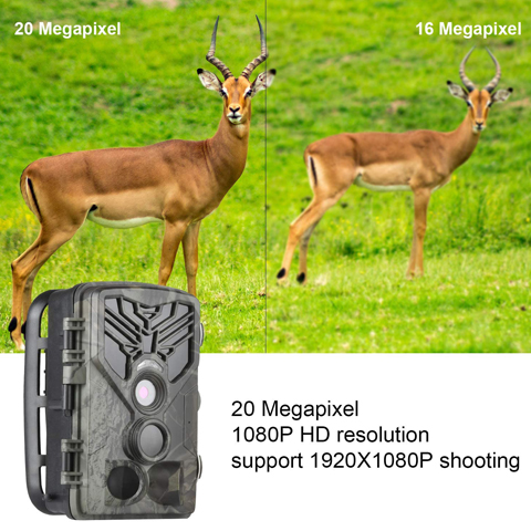 DIGITNOW Digital Trail Camera 20MP 1080P Waterproof Game Hunting Scouting Camera for Wildlife Monitoring with 44pcs IR LED