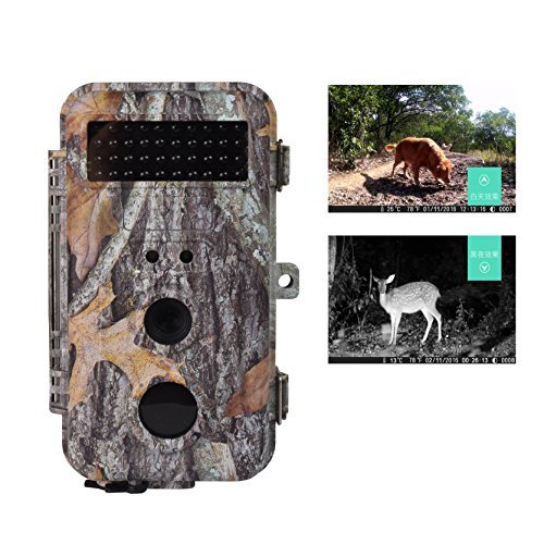 DIGITNOW 16MP 1080 HD Waterproof Trail &Surveillance Digital Camera with Infrared Night Version up to 65ft in 2.4''LCD Screen &40pcs IR LEDs Wildlife Hunting &Scouting Camera