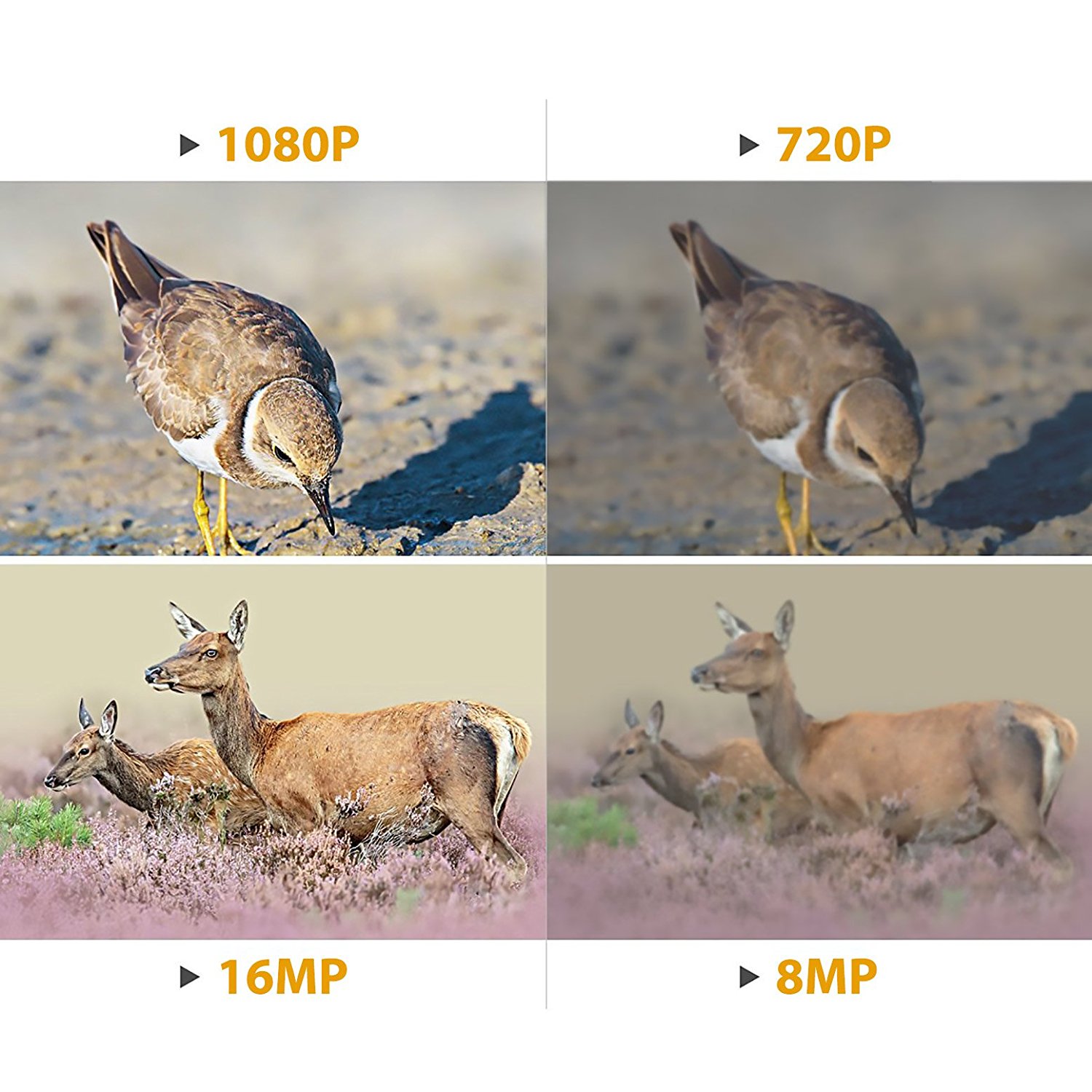 DIGITNOW 16MP 1080P HD Waterproof Trail &Surveillance Digital Camera with Infrared Night Version up to 65ft in 2.4''LCD Screen &40pcs IR LEDs Wildlife Hunting &Scouting Camera