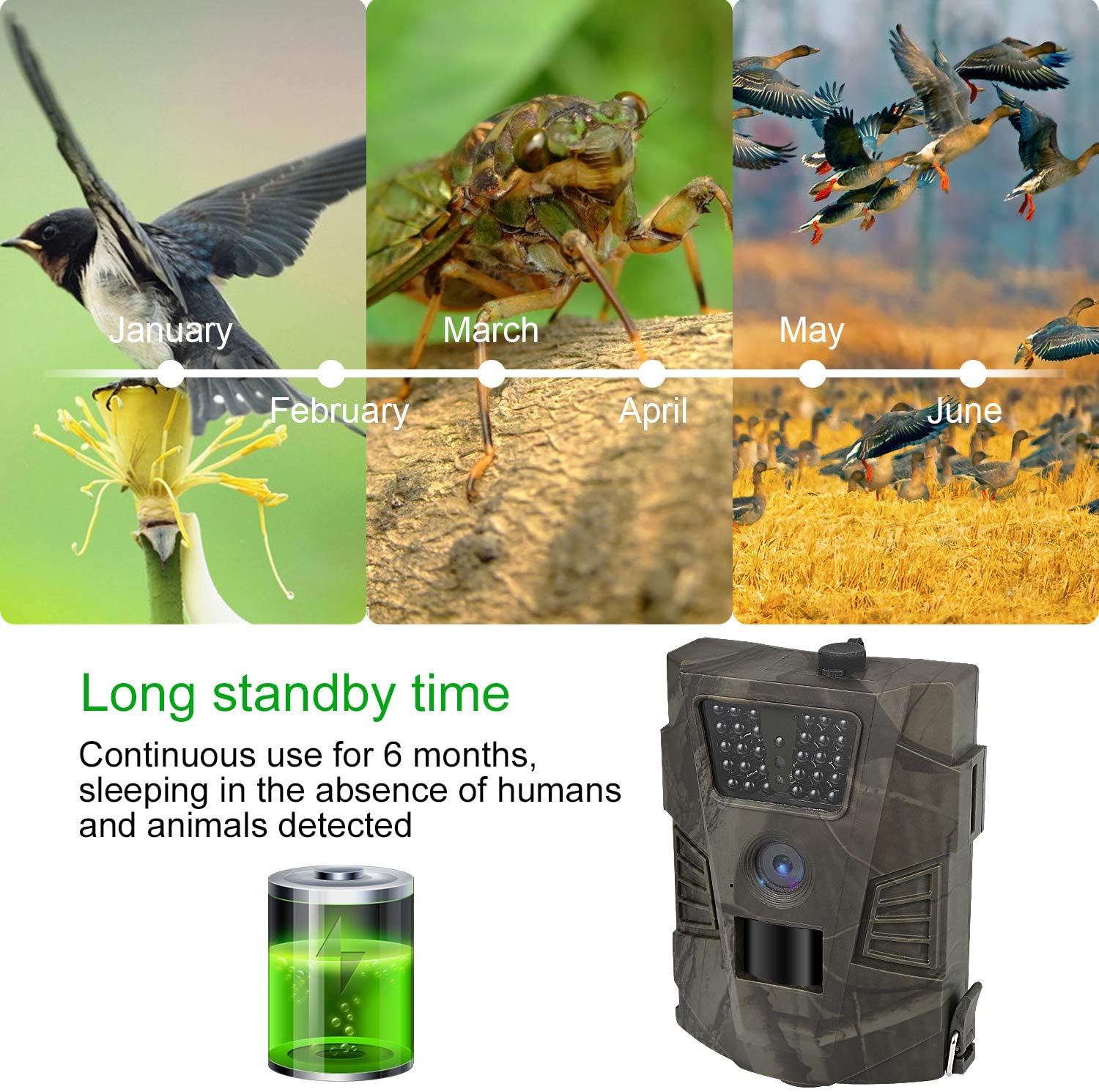 DIGITNOW Trail Camera – 12MP 1080P FHD Wildlife Scouting Hunting Camera with 30 pcs Infra LEDs up to 65ft/20m for Wildlife Scouting Digital Surveillance Waterproof IP65